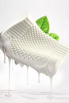 BEYOND KIDS Latex Pillow BYZXDZ201