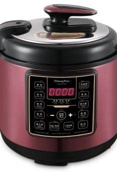 英国FINSYBO 伊卡电压力锅 F-DFC5M 5L 1000W ZZ10755201973
