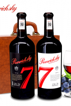 RUNRICH SKY奔富星空 澳洲进口红酒 橡木桶精酿 陈酿干红葡萄酒14.5度双支皮盒装